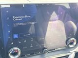 Used 2024 Lexus RX SUV