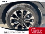 Used 2024 Kia Carnival Van