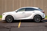 Used 2024 Lexus RX SUV