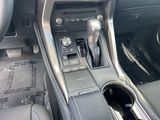 Used 2020 Lexus NX SUV