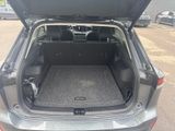 Used 2025 Volkswagen Tiguan SUV