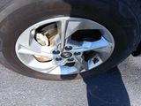 Used 2024 Hyundai Tucson SUV