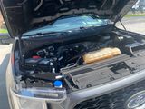 Used 2021 Ford F-150 Truck