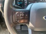 Used 2021 Ford F-150 Truck