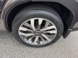 Used 2025 Subaru Forester SUV