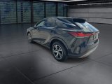 Used 2025 Lexus RX SUV