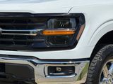 Used 2025 Ford F-150 Truck