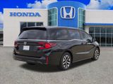 New 2026 Honda Odyssey Van