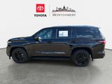 Used 2024 Toyota Sequoia SUV