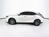 Used 2025 Lexus RX SUV