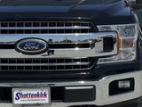 Used 2019 Ford F-150 Truck