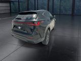 Used 2024 Lexus NX SUV