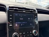 Used 2023 Hyundai Santa Cruz Truck