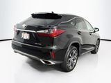 Used 2019 Lexus RX SUV