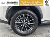 Used 2025 Lexus NX SUV