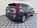 Used 2026 Honda CR-V SUV