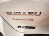 Used 2025 Subaru Outback SUV