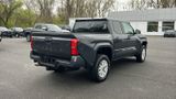 Used 2025 Toyota Tacoma Truck