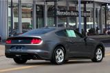 Used 2021 Ford Mustang Coupe