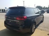 Used 2019 Kia Sedona Van
