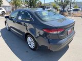 New 2026 Toyota Corolla Hybrid Sedan
