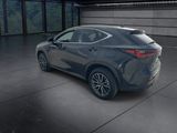 Used 2024 Lexus NX SUV