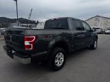 Used 2019 Ford F-150 Truck