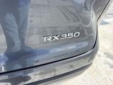 Used 2024 Lexus RX SUV