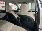 Used 2019 Kia Sorento SUV