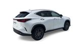 Used 2024 Lexus NX SUV