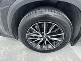 Used 2025 Lexus NX SUV