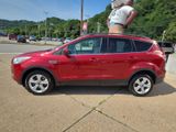 Used 2014 Ford Escape SUV