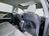 Used 2019 Lexus RX SUV