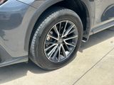 Used 2025 Lexus NX SUV