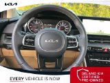Used 2024 Kia Carnival Van
