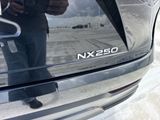 Used 2024 Lexus NX SUV