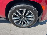 Used 2024 Cadillac Escalade ESV SUV