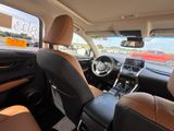 Used 2019 Lexus NX SUV