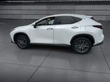 Used 2025 Lexus NX SUV