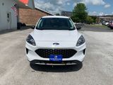 Used 2022 Ford Escape Hybrid SUV