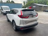 Used 2019 Honda CR-V SUV