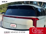Used 2025 Kia Carnival Van