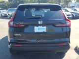 Used 2026 Honda CR-V SUV