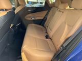 Used 2025 Lexus NX SUV