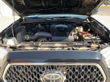 Used 2019 Toyota Tacoma Truck