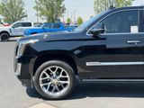 Used 2019 Cadillac Escalade SUV