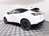 New 2026 Nissan Murano SUV