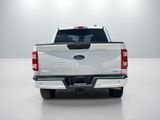 Used 2023 Ford F-150 Truck
