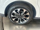 Used 2023 Kia Carnival Van