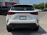 Used 2024 Lexus NX SUV
